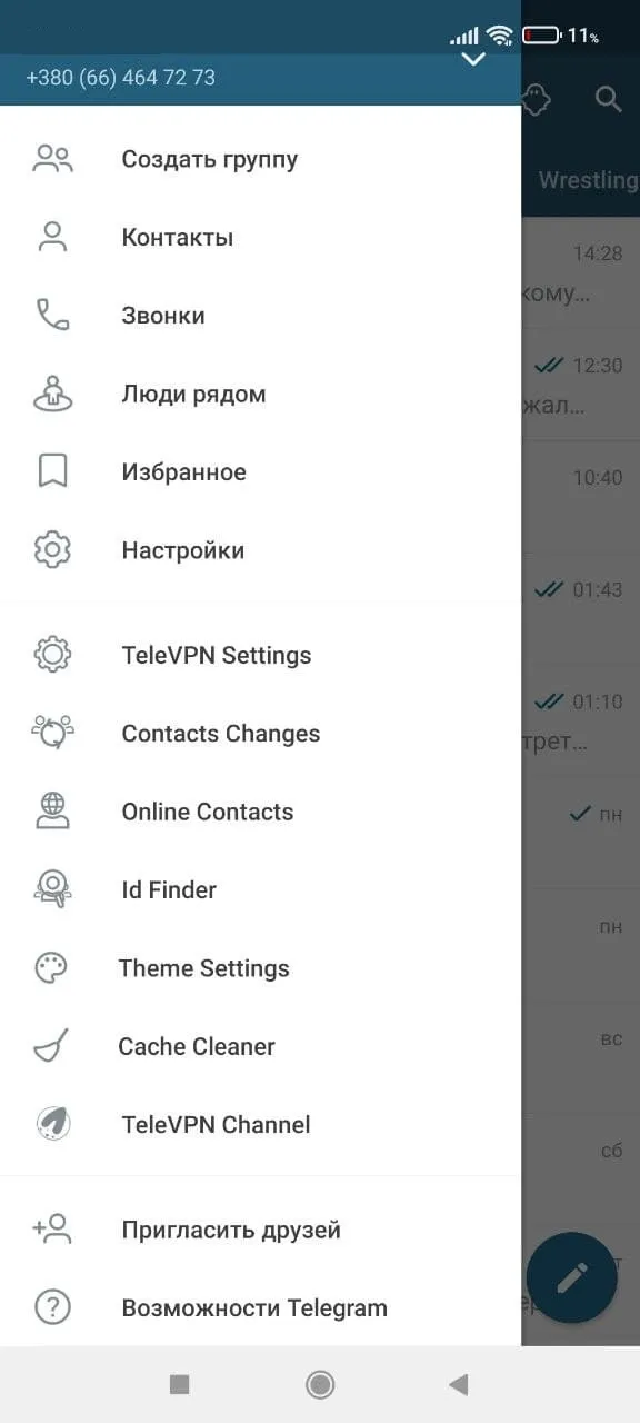 Скриншот приложения TeleVPN