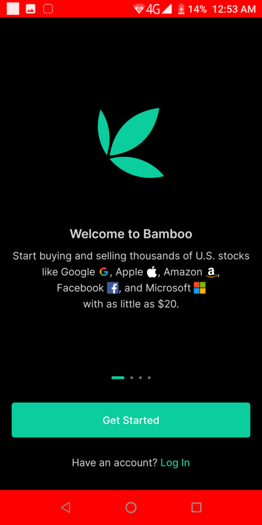 Bamboo Investment Get started
