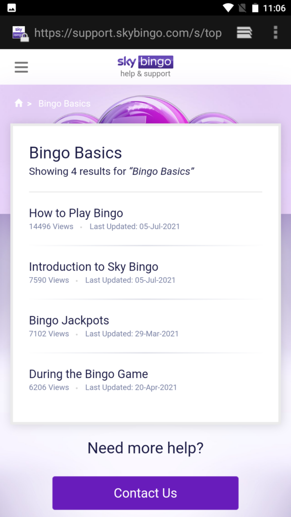 Sky Bingo Basics
