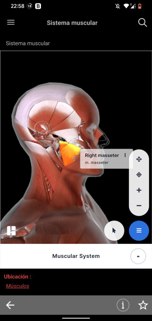 Manual MSD Anatomía 3D