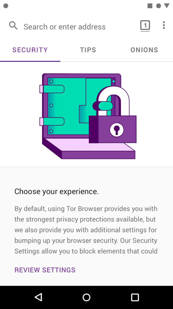 Tor Browser Seguridad