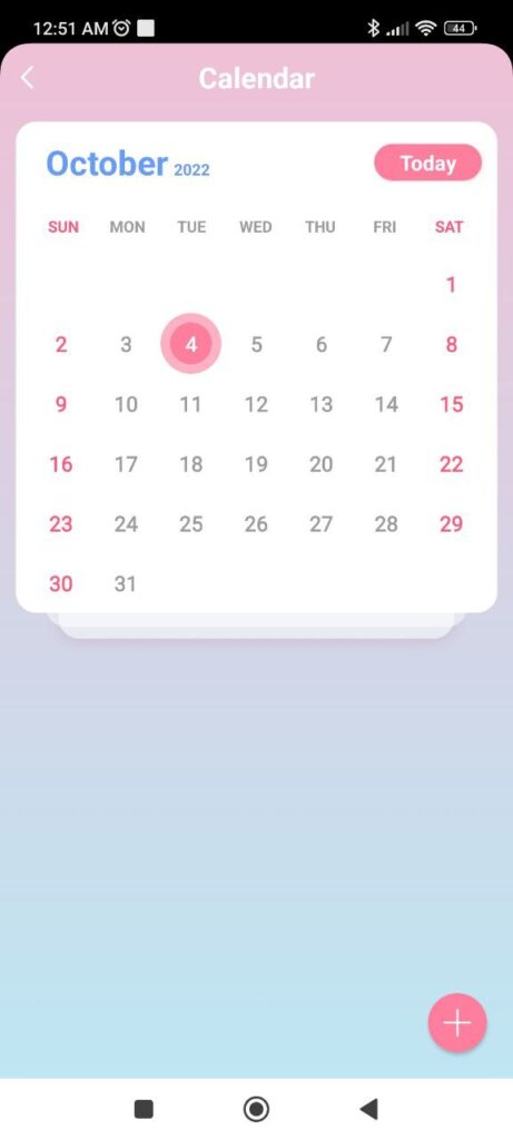 Daily Diary Calendar