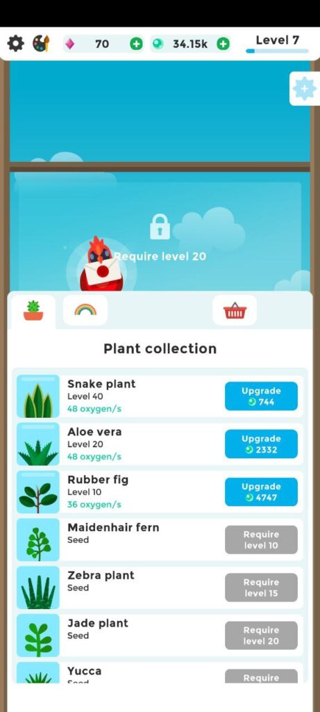 Terrarium Plant collection