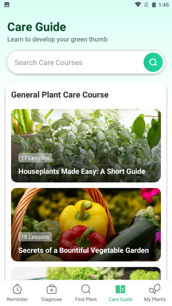 Plant Parent Care guides