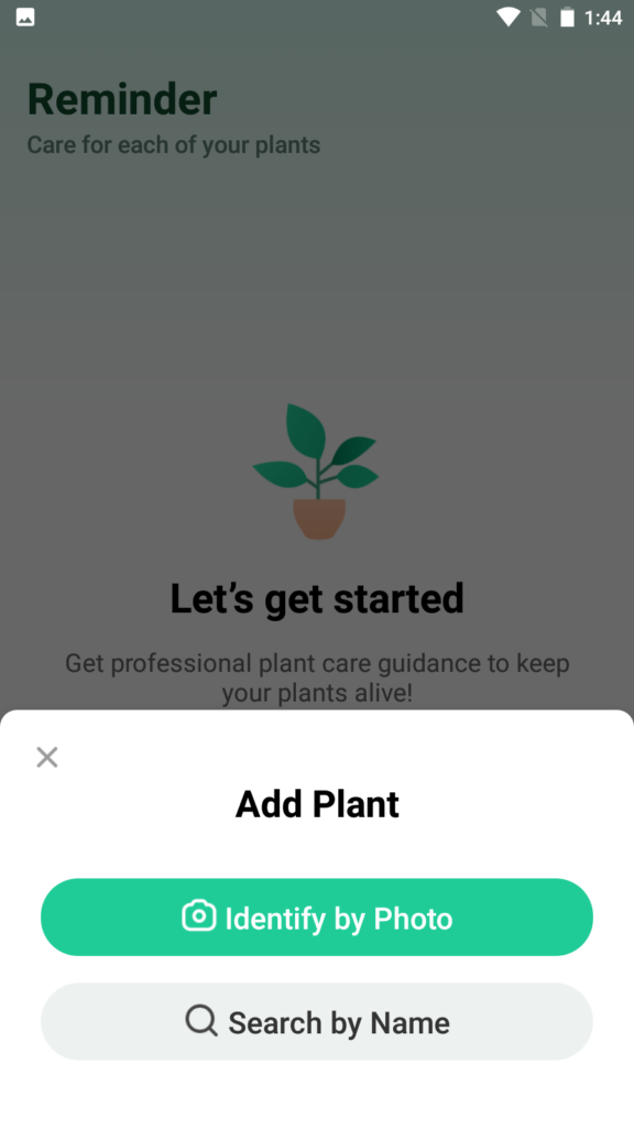 Plant Parent My plants