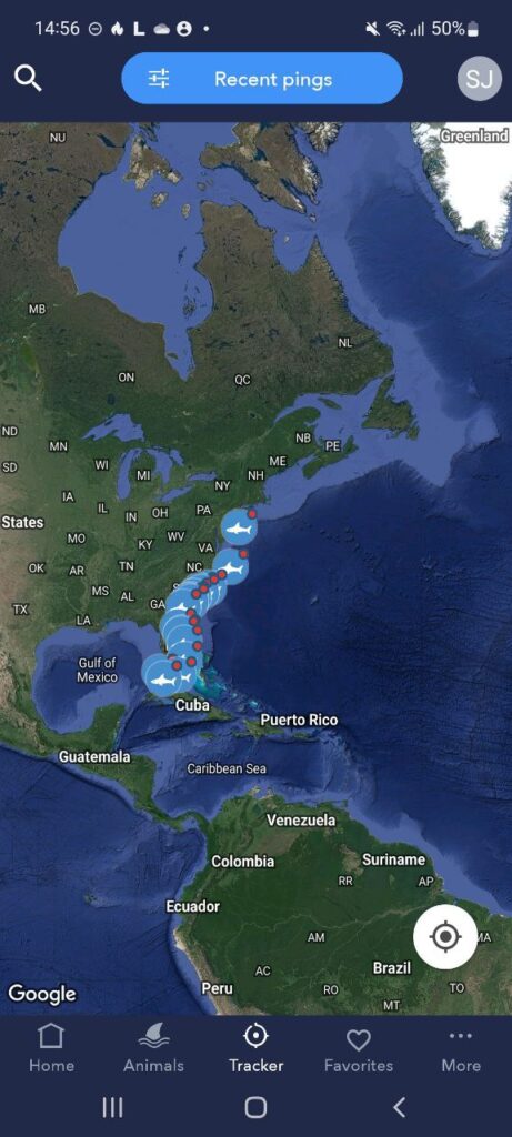 OCEARCH Shark Tracker Map
