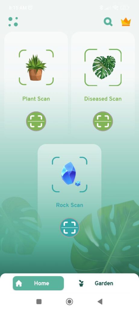 Plant ID Homepage